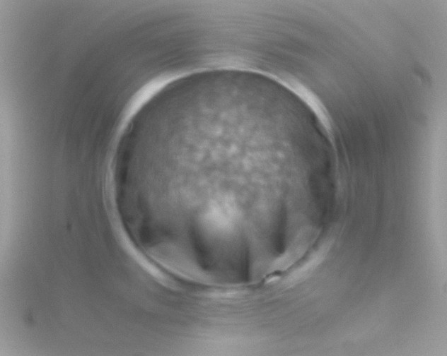 X0000115411389200911241318