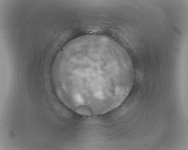 X0000115411393200911241318