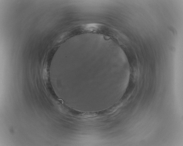 X0000115411394200911241318