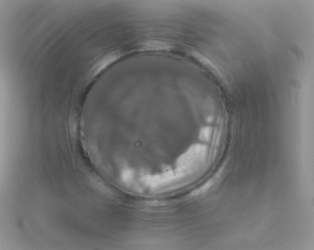 X0000115411401200911241318