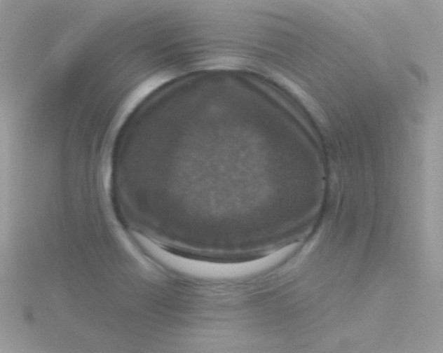 X0000115411418200911241318