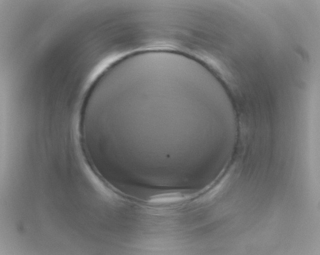 X0000115411422200911241318