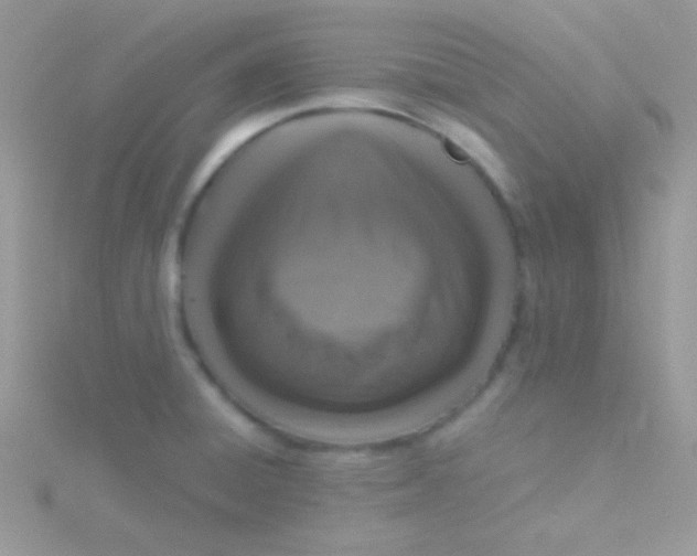 X0000115411428200911241318