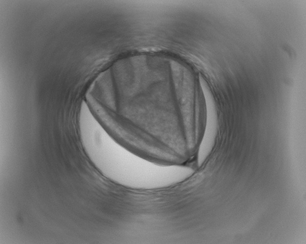 X0000115411444200911241318