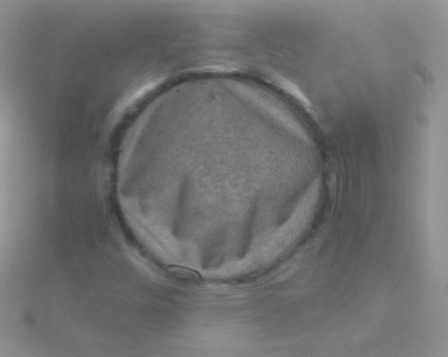 X0000115411448200911241318