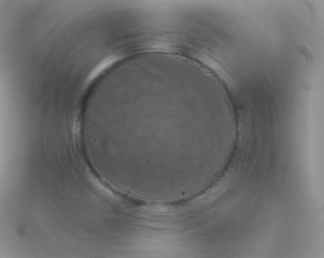 X0000115411450200911241318