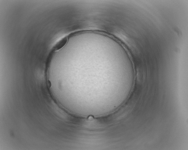 X0000115411452200911241317