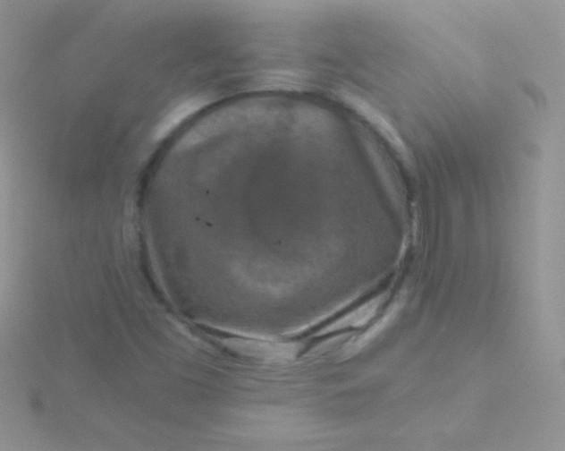 X0000115411453200911241317
