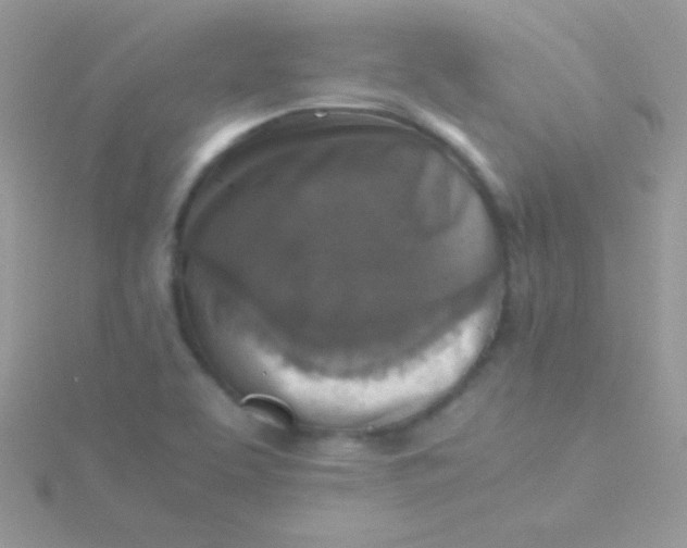 X0000115411463200911241317