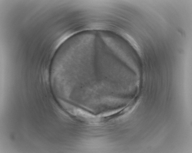 X0000115411465200911241317