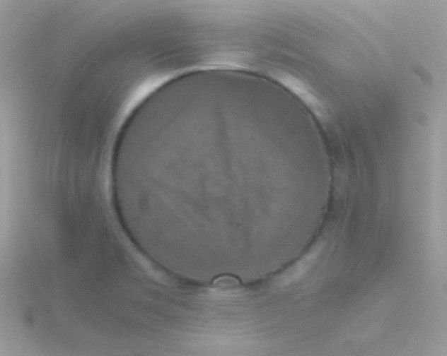 X0000115411469200911241317