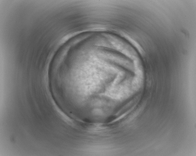 X0000115411475200911241317