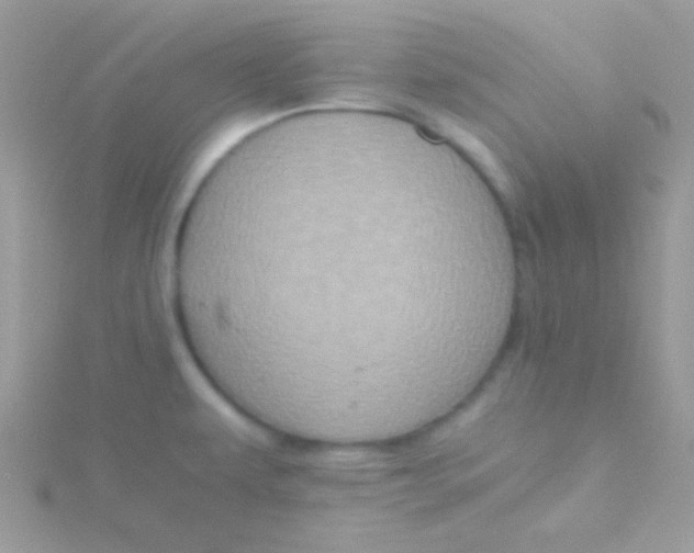 X0000115411479200911241317
