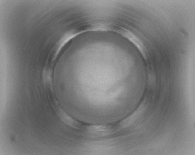 X0000115411481200911241317