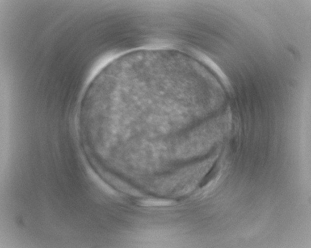 X0000115411487200911241317