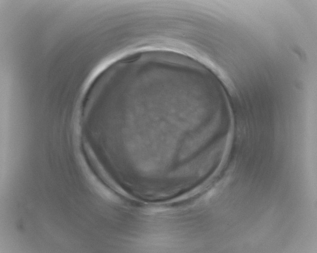 X0000115411522200911241317