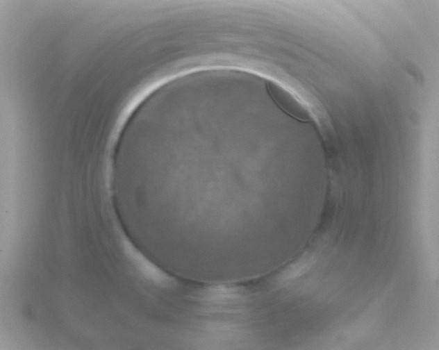 X0000115411527200911241317