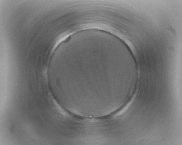 X0000115411529200911241317