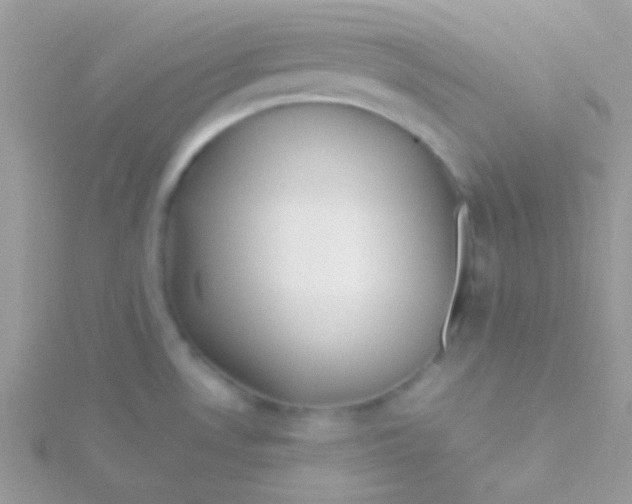 X0000115411530200911241317
