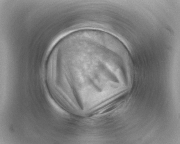 X0000115411531200911241317