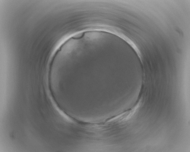 X0000115411533200911241317