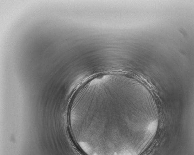 X0000115410002200912011235