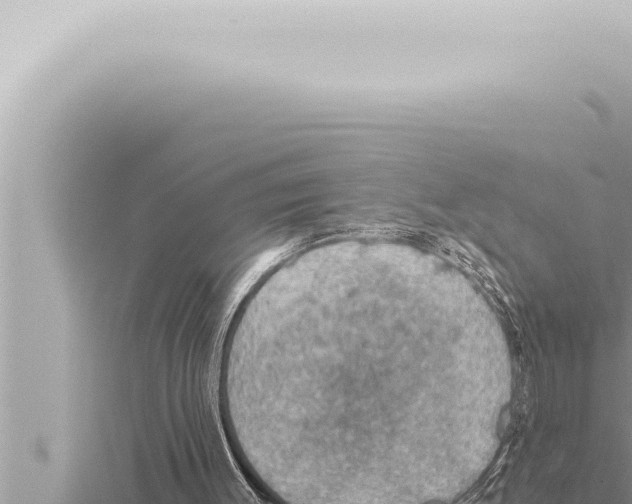 X0000115410003200912011235