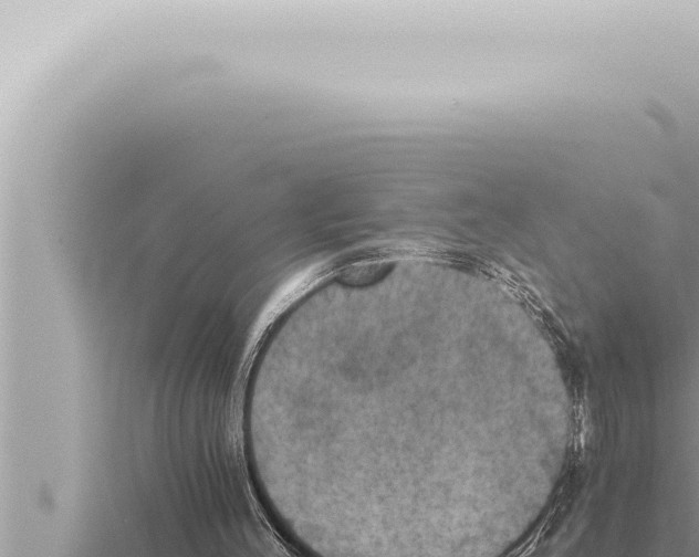 X0000115410004200912011235