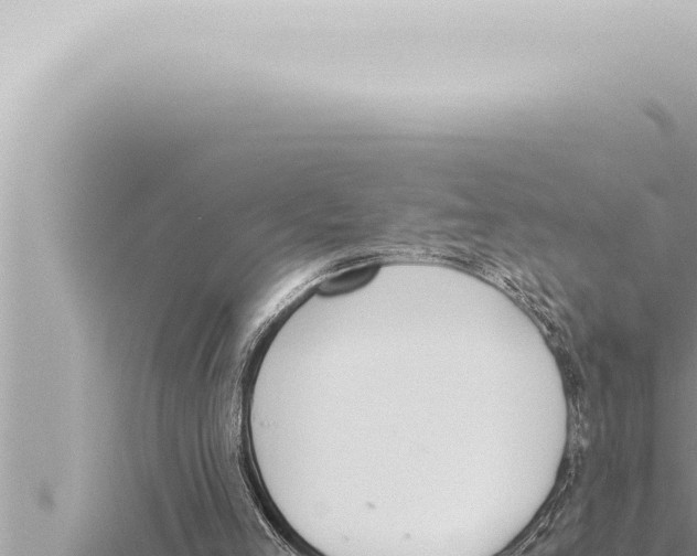 X0000115410005200912011235