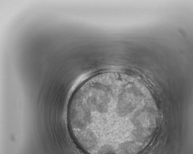 X0000115410006200912011235