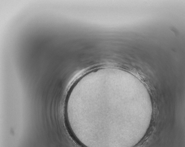 X0000115410007200912011235