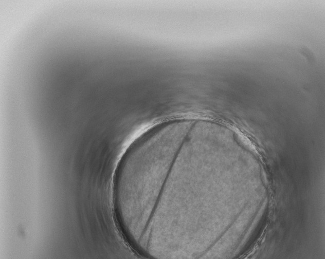 X0000115410008200912011235