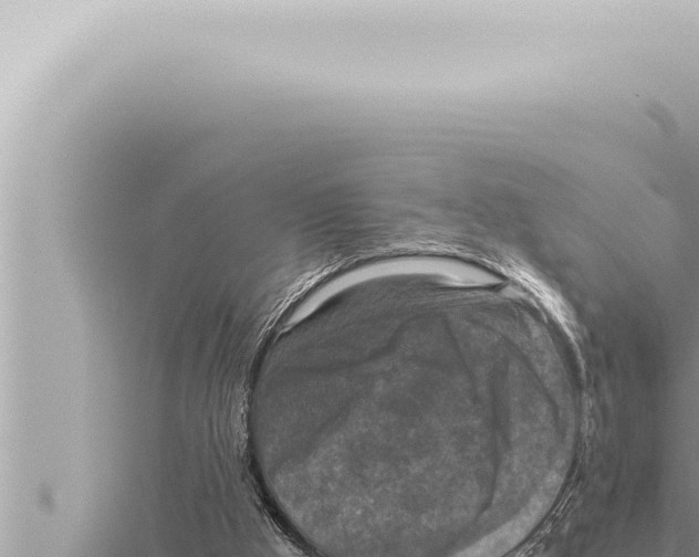 X0000115410009200912011235