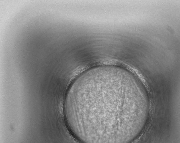 X0000115410010200912011235