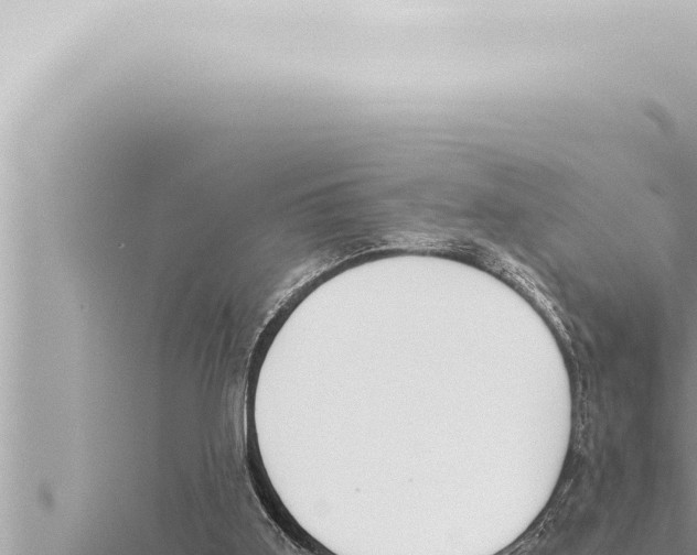 X0000115410011200912011235