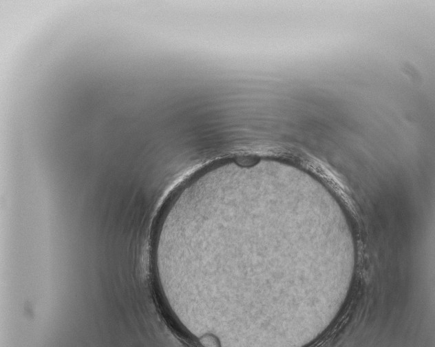 X0000115410012200912011235