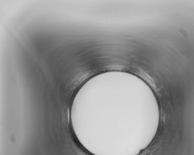 X0000115410013200912011235