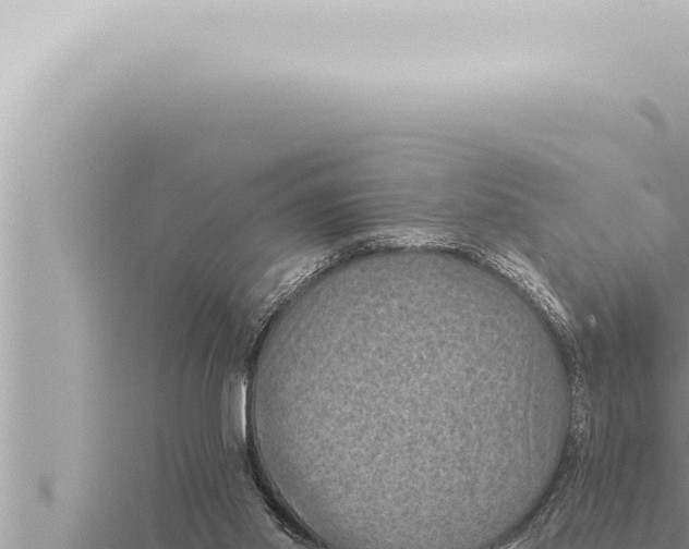 X0000115410014200912011235