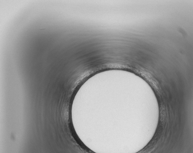 X0000115410015200912011235