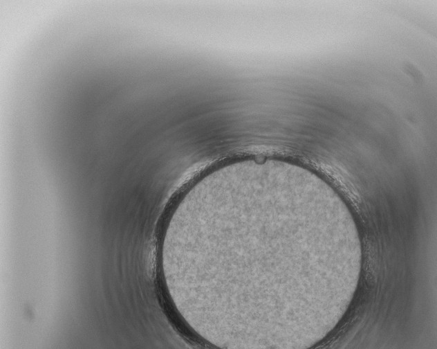 X0000115410016200912011235