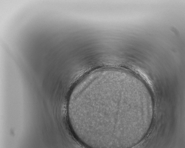 X0000115410017200912011235