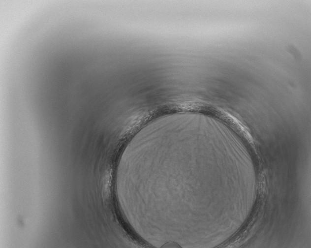 X0000115410018200912011235