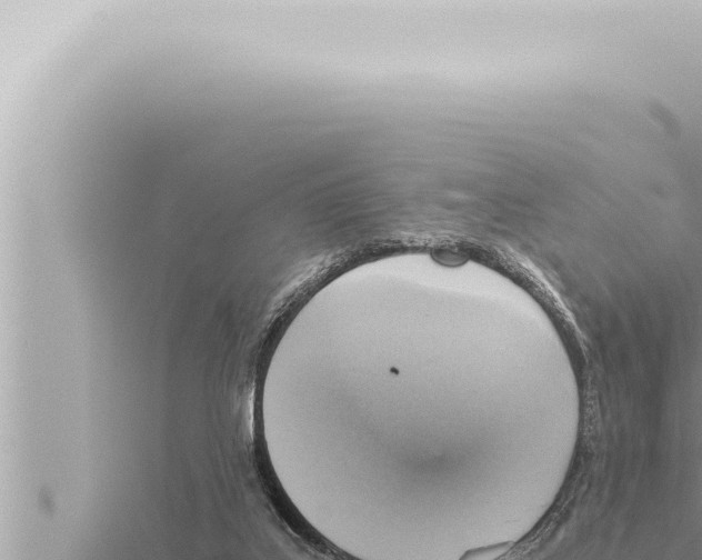 X0000115410019200912011235