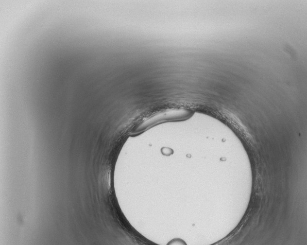 X0000115410021200912011235