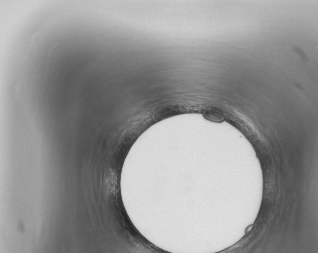 X0000115410025200912011234