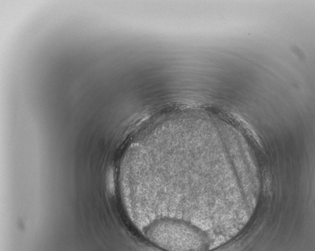 X0000115410026200912011234