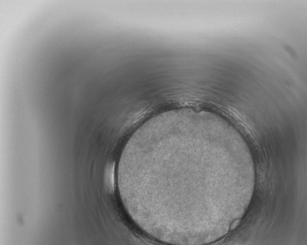 X0000115410028200912011234