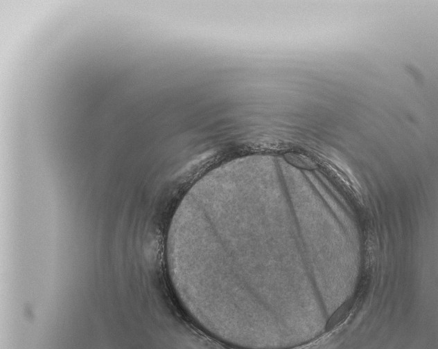 X0000115410029200912011234