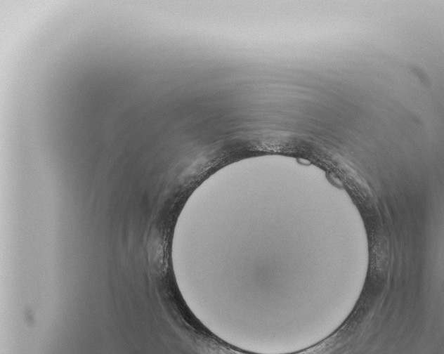 X0000115410031200912011234