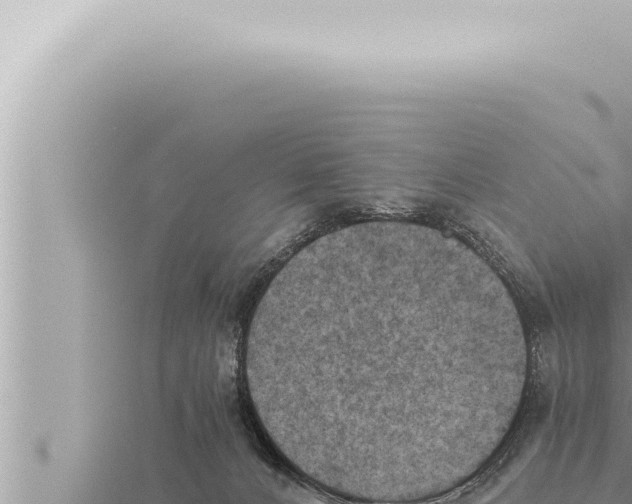 X0000115410032200912011234